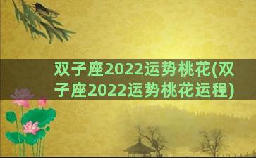 双子座2022运势桃花(双子座2022运势桃花运程)